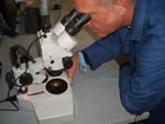 Inspección con microscopio